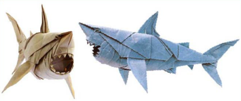 SHARK Great White
