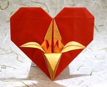 Heart with iris