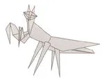 Praying mantis