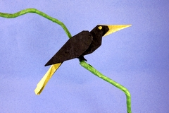 Crested Oropendola