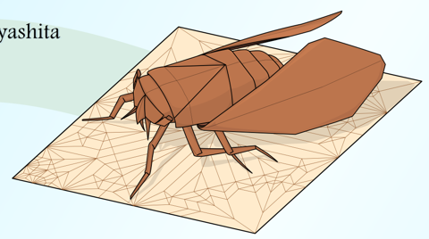 Cicada