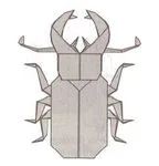 Stag beetle