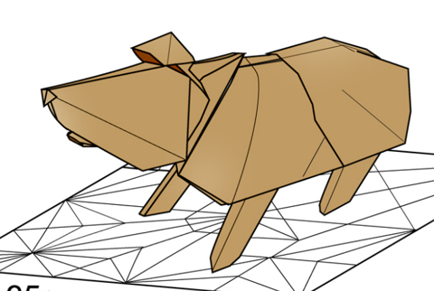 Guinea pig