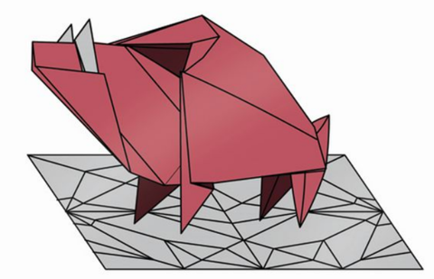 Boar