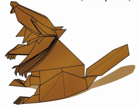 Beaver