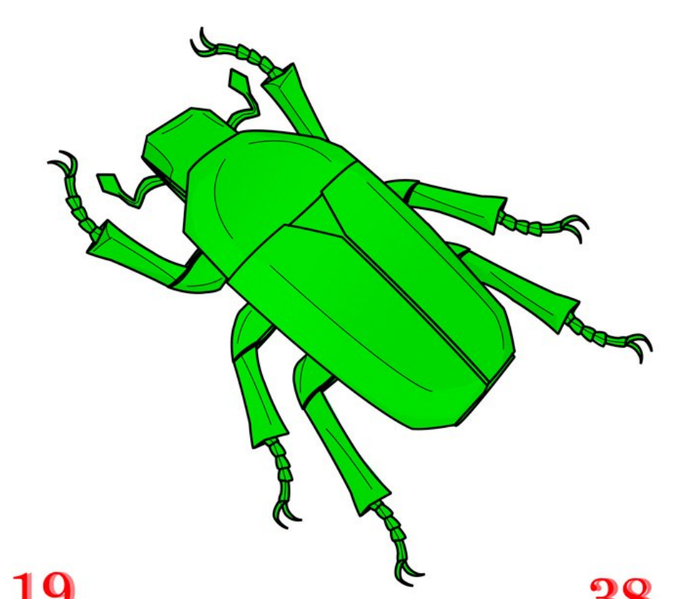 Green rose chafer