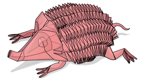 Hedgehog