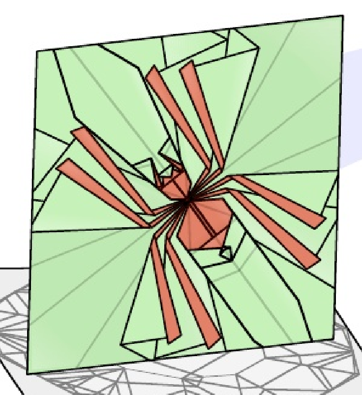 Spider in the frame