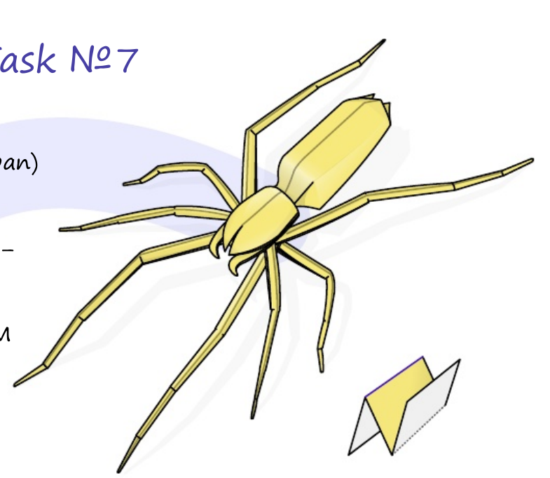 Spider