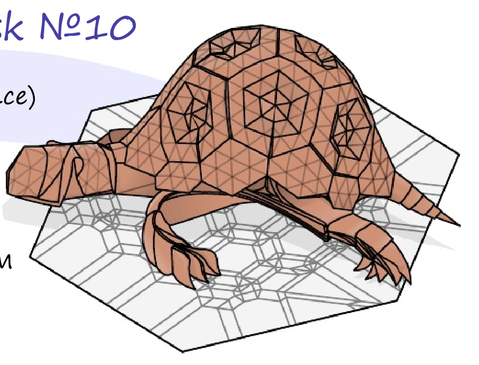 Turtle