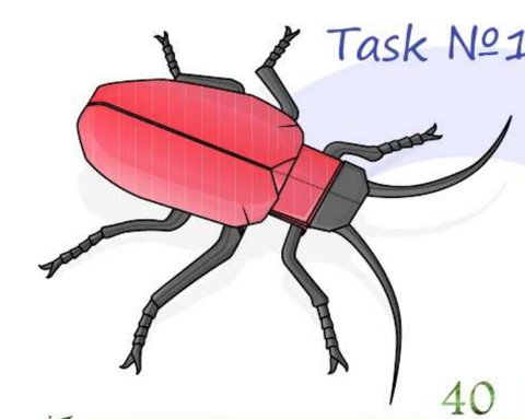 Lily beetle