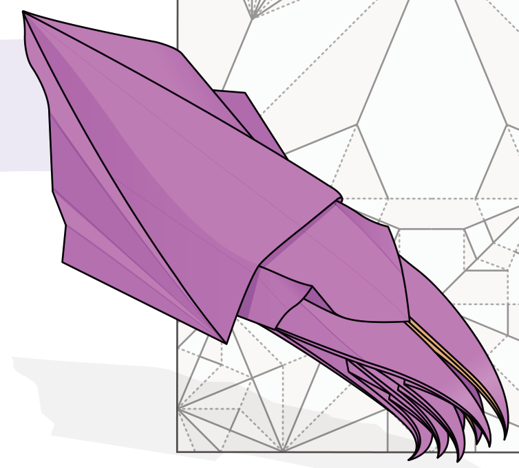 Cuttlefish