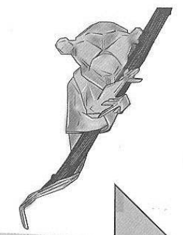 Tarsier