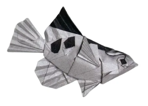 Archerfish
