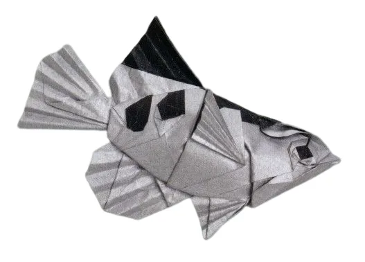 Archerfish