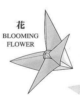 Blooming flower
