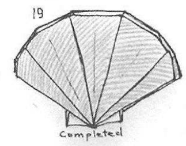 Scalloped shell
