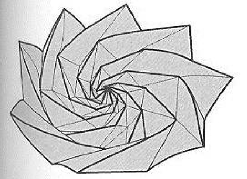 Spiral of life