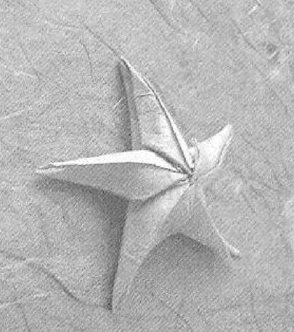 Starfish