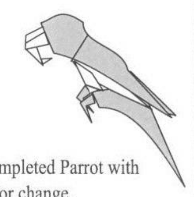 Indian ring-necked parrot