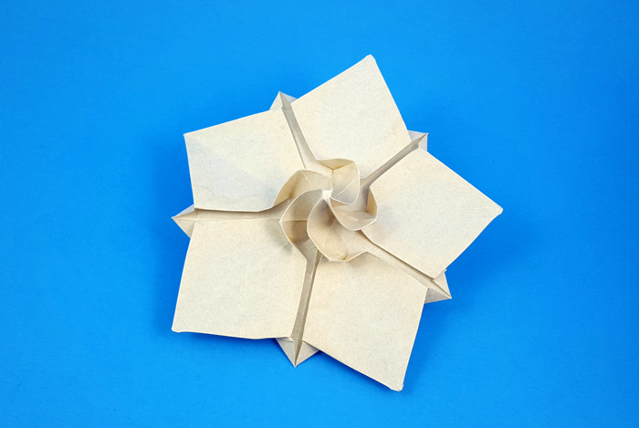 Creamy star
