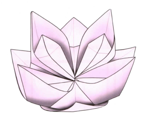 Modified waterlily