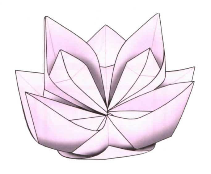 Modified waterlily