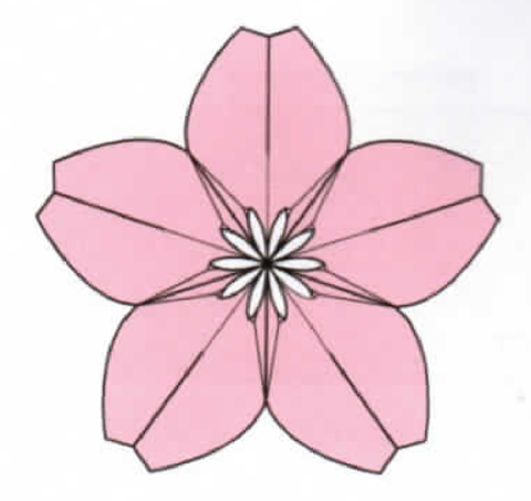 Sakura