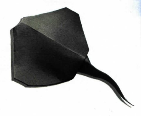 Stingray