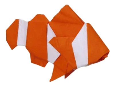 Clownfish