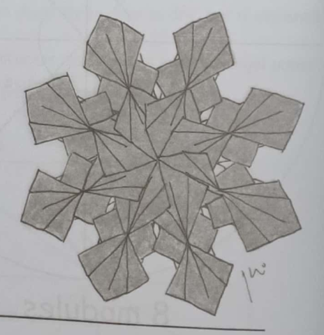 Bloom