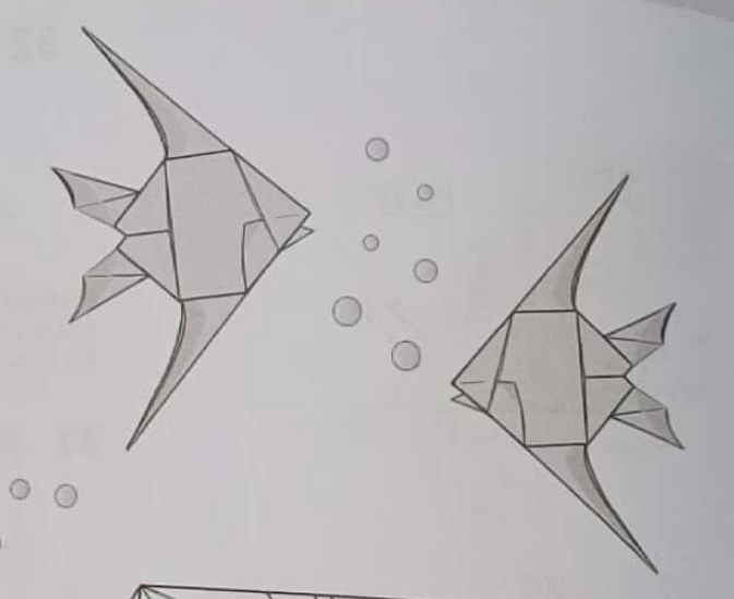 Angelfish