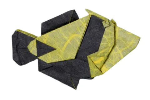 Reef triggerfish