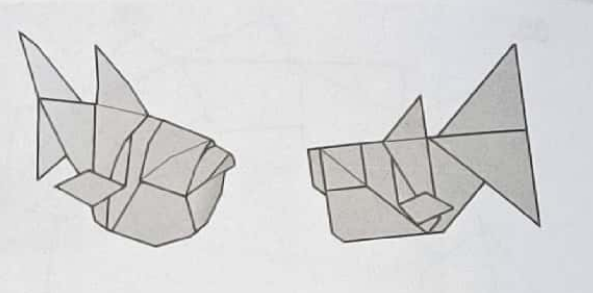 Square fish