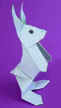 Jumping rabbit