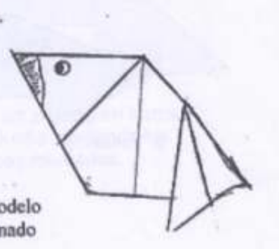Dwarf whale