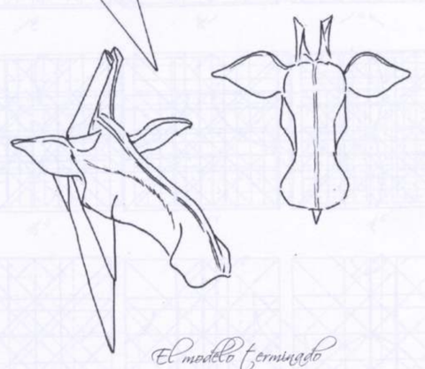 Giraffe head