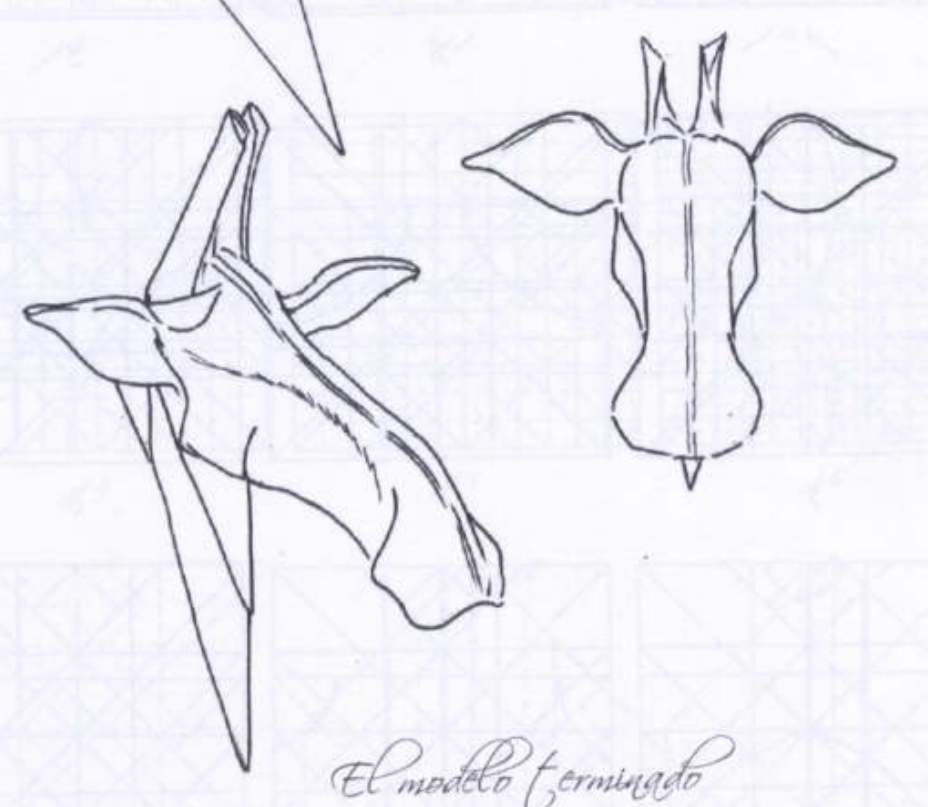 Giraffe head