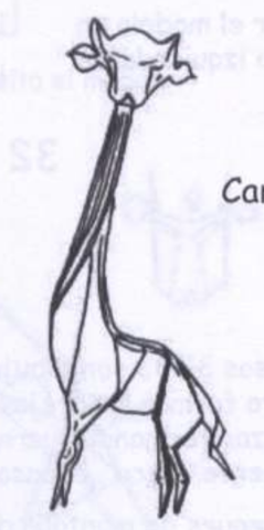 Giraffe