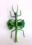 Walking stick - flying