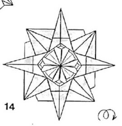 Kelly Star