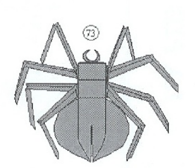 Black widow