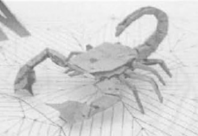 Scorpion