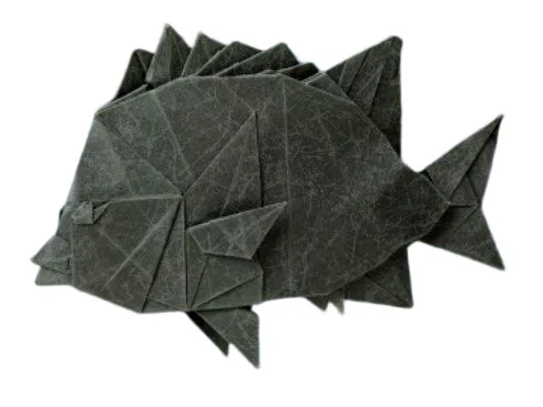 Knifejaw