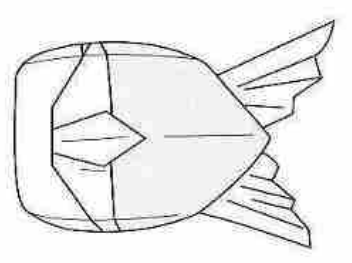 Blowfish