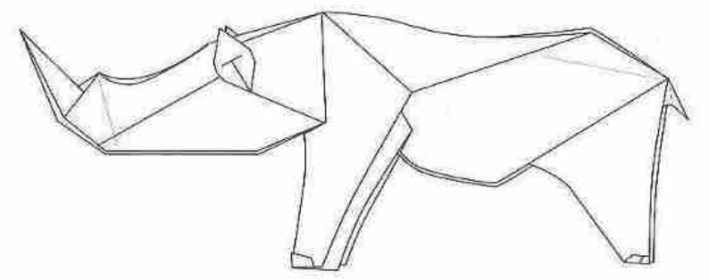 Rhinoceros