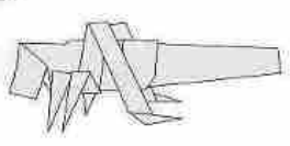 Grasshopper
