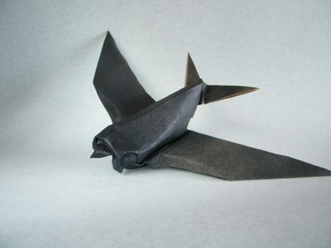 Swallow
