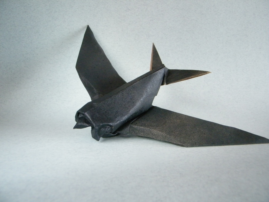 Swallow
