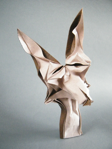 Coyote